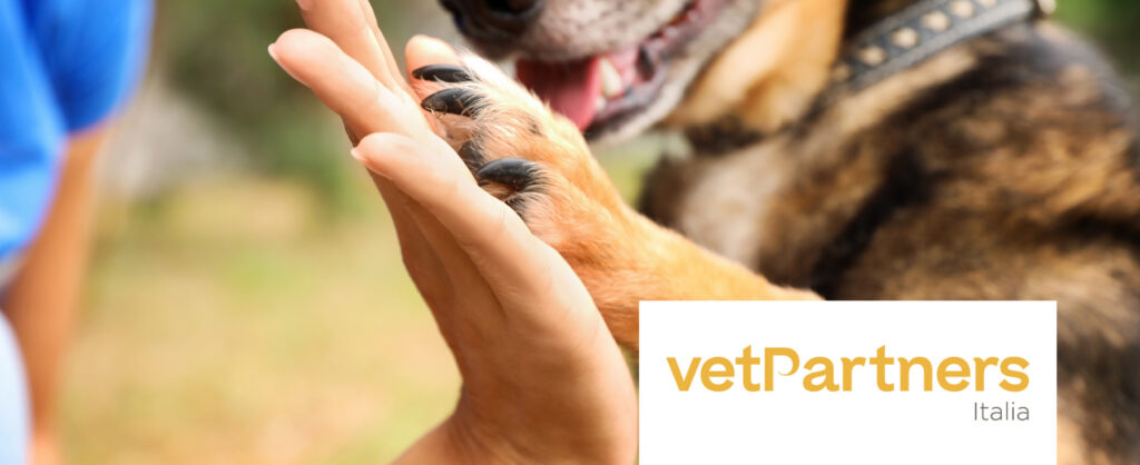 Cane che da la zampa_VetPartners Italia Primo piano di un cane che dà il cinque a una persona, entrambi felici. Il logo VetPartners Italia appare nell'angolo in basso a destra insieme alla frase "Lavora con noi.