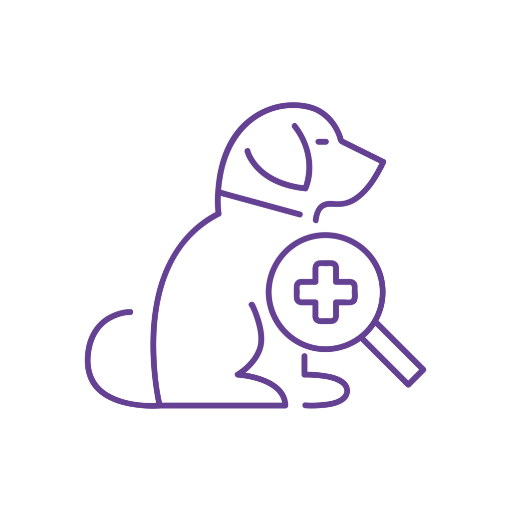Icona illustrativa del servizio di dermatologia della Clinica Veterinaria Marengo