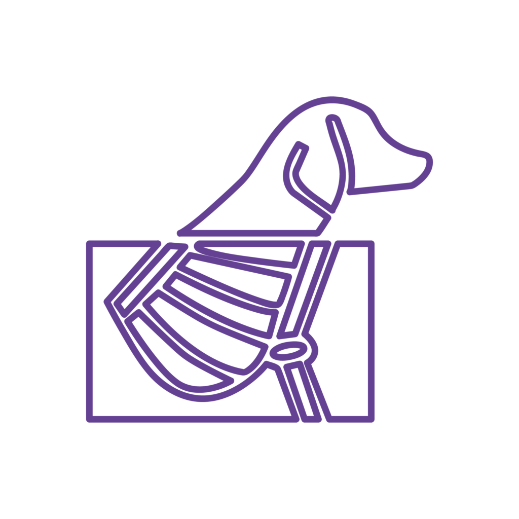 Icona illustrativa del servizio di radiologia della Clinica Veterinaria Marengo