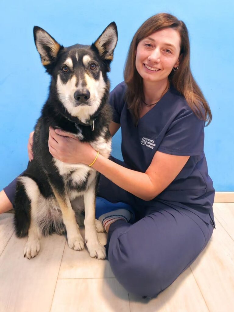 Veterinari-alessandria-clinica-veterinaria-marengo La dottoressa Mascia Bottega insieme ad un cane adulto bianco e nero